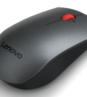 Lenovo Professional Wireless Laser Mouse